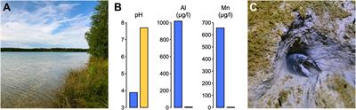 Evaluating Invasive Marbled Crayfish as a Potential Livestock for Sustainable Aquaculture